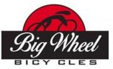 Big Wheel Bicycles USA, Inc (1352245)